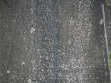 image of grave number 807449